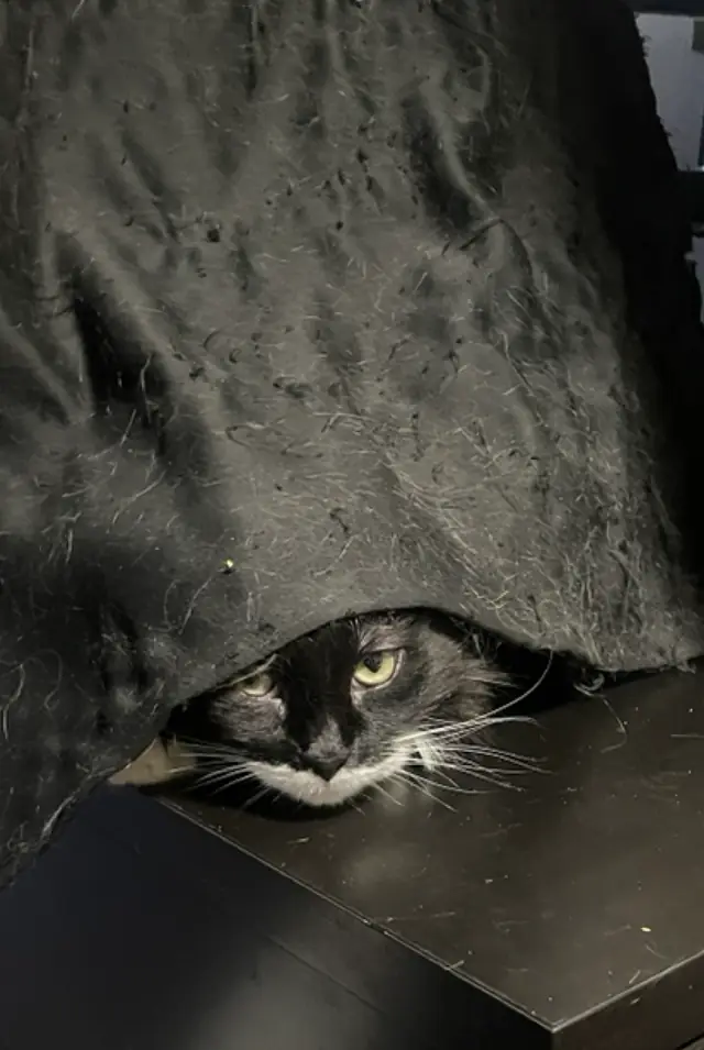 Phantom hiding under a blanket